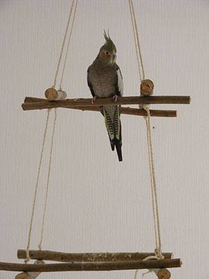 claudia_quader_4.jpg claudia_quader_4.jpg