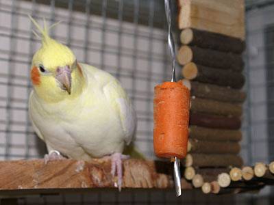 jana_futterspiess_4.jpg jana_futterspiess_4.jpg