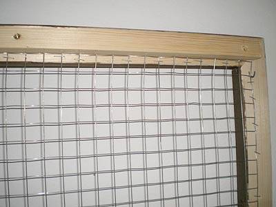 ladychaos_voliere_19.jpg ladychaos_voliere_19.jpg