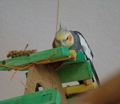 zuendy_haus_6.jpg zuendy_haus_6.jpg