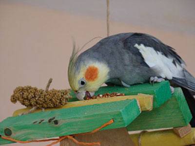 zuendy_haus_7.jpg zuendy_haus_7.jpg