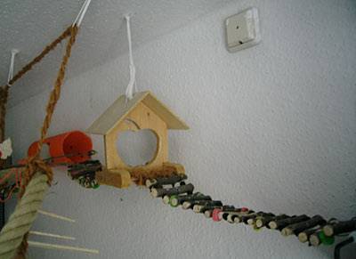 zuendy_haus_8.jpg zuendy_haus_8.jpg