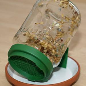 keimfutter_glas.jpg