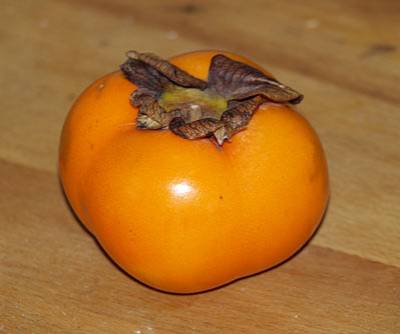 khaki_t.jpg khaki_t.jpg