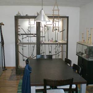 vogelwohnzimmer_bine_1.jpg