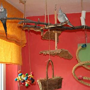 vogelwohnzimmer_hellen_1.jpg