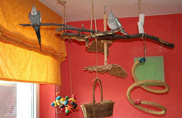 vogelwohnzimmer_hellen_1.jpg
